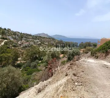 Residential 500m<sup>2</sup> for sale photo 4843074