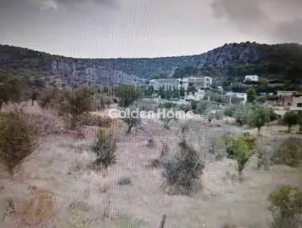 Residential 30414m<sup>2</sup> for sale photo 3