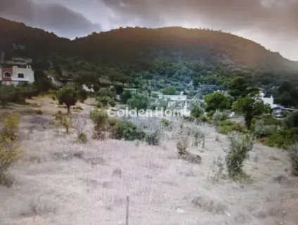 Golden Home Property Image