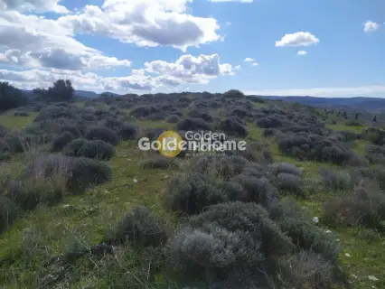 Residential 5127m<sup>2</sup> for sale photo 5400924