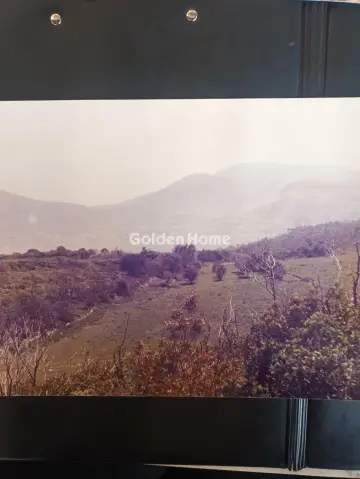 Residential 67700m<sup>2</sup> for sale photo 9