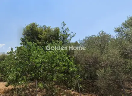 Residential 2141m<sup>2</sup> for sale photo 1