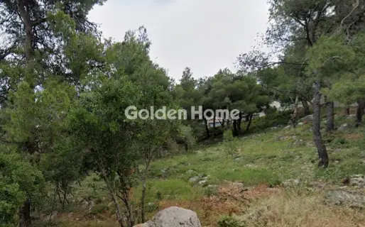 Residential 450m<sup>2</sup> for sale photo 4861115