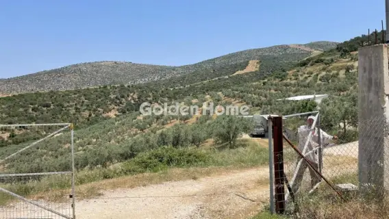 Area 100000m<sup>2</sup> for sale photo 2