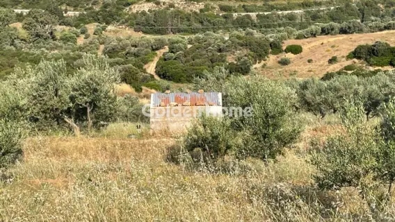 Area 100000m<sup>2</sup> for sale photo 5