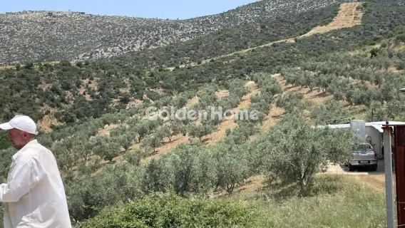 Area 100000m<sup>2</sup> for sale photo 6