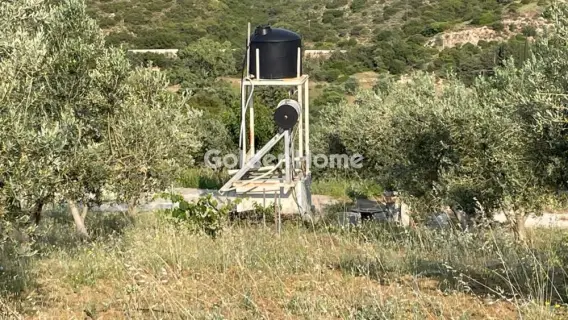 Area 100000m<sup>2</sup> for sale photo 14