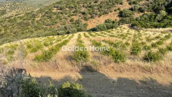 Area 100000m<sup>2</sup> for sale photo 18