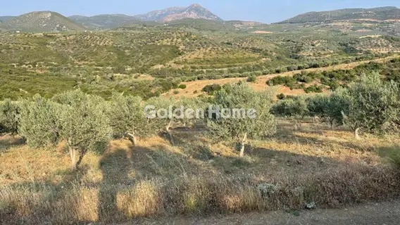Area 100000m<sup>2</sup> for sale photo 22