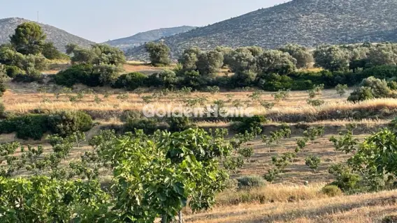 Area 100000m<sup>2</sup> for sale photo 31
