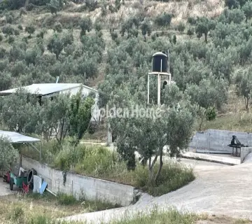 Golden Home Property Image