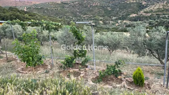 Area 100000m<sup>2</sup> for sale photo 53