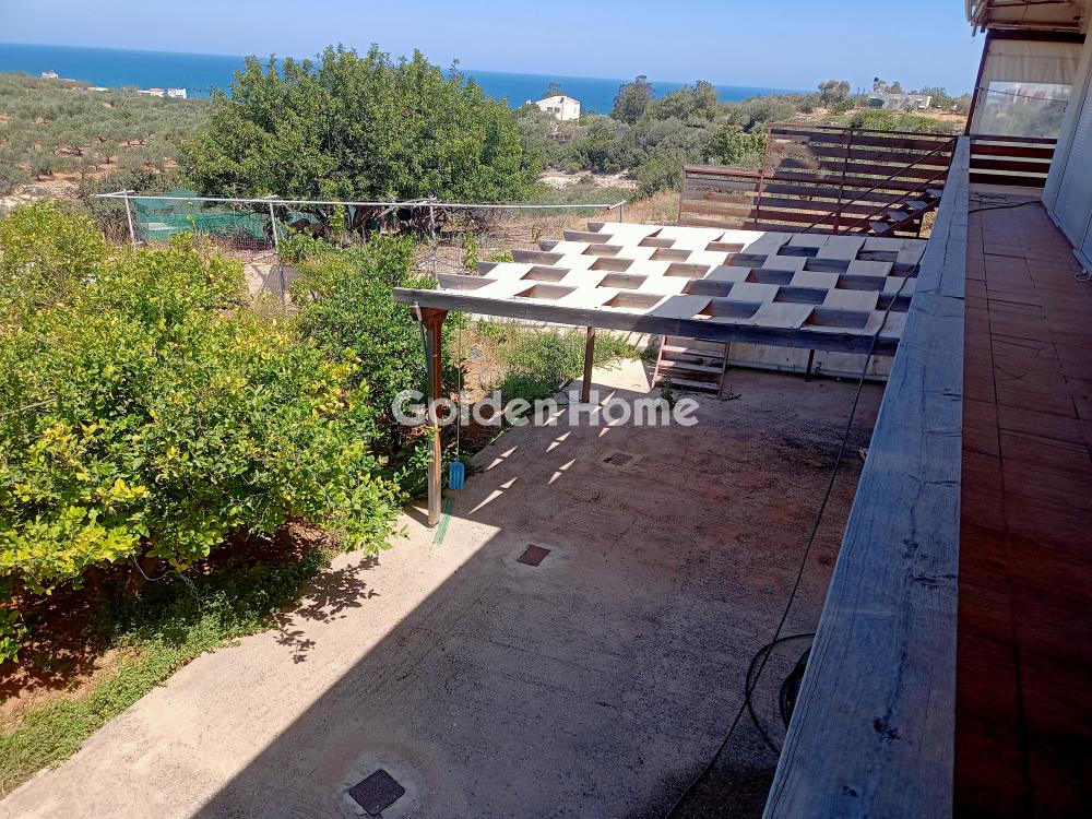 Golden Home Property Image