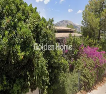 Golden Home Property Image