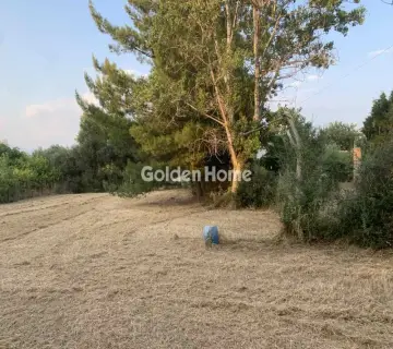 Residential 1040m<sup>2</sup> for sale photo 5