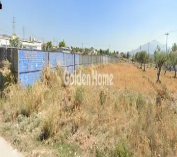 Golden Home Property Image