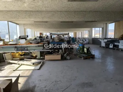 Office 300m<sup>2</sup> for rent photo 3