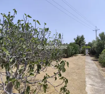 Οικιστικό 850τ.μ. προς πώληση φωτογραφία 4866342
