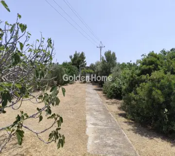 Οικιστικό 850τ.μ. προς πώληση φωτογραφία 4866344
