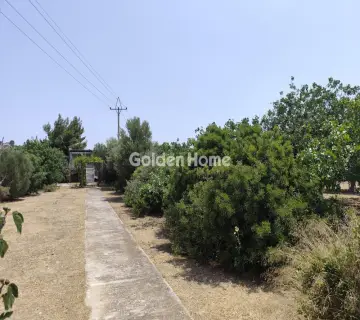 Οικιστικό 850τ.μ. προς πώληση φωτογραφία 4866345