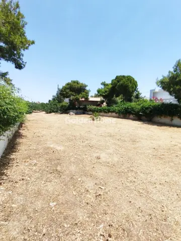 Οικιστικό 1233τ.μ. προς πώληση φωτογραφία 2