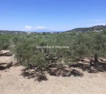Μονοκατοικία 150τ.μ. προς πώληση φωτογραφία 16