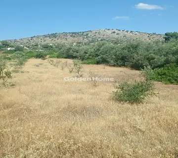 Residential 1860m<sup>2</sup> for sale photo 4932727