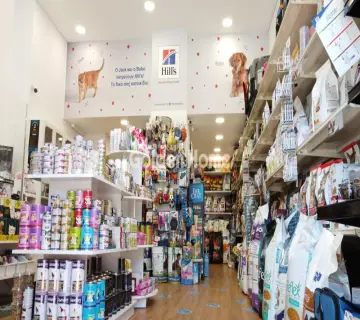 Golden Home Property Image