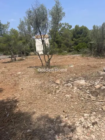 Professional Plot 4000m<sup>2</sup> for rent photo 2