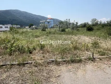 Professional Plot 4000m<sup>2</sup> for rent photo 4