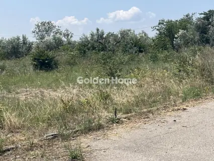 Professional Plot 4000m<sup>2</sup> for rent photo 1