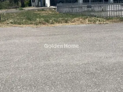 Professional Plot 4000m<sup>2</sup> for rent photo 5