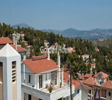 Οροφομεζονέτα 300τ.μ. προς ενοικίαση φωτογραφία 29