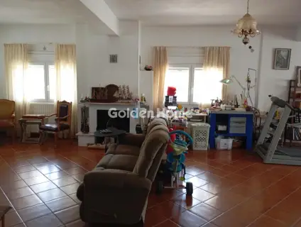 Μονοκατοικία 300τ.μ. προς πώληση φωτογραφία 148