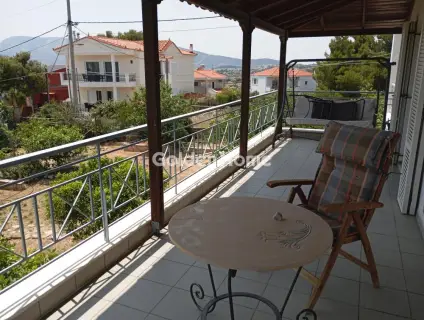 Μονοκατοικία 300τ.μ. προς πώληση φωτογραφία 40