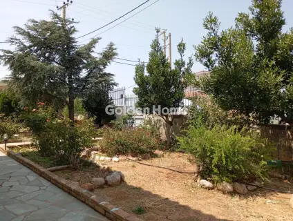 Μονοκατοικία 300τ.μ. προς πώληση φωτογραφία 133