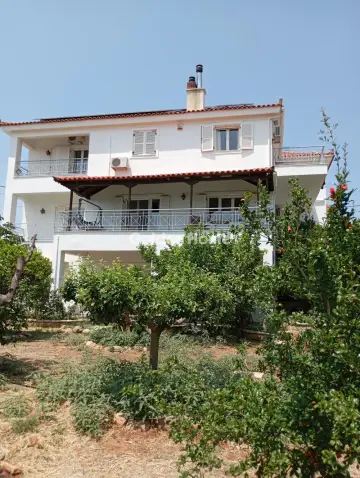 Μονοκατοικία 300τ.μ. προς πώληση φωτογραφία 132