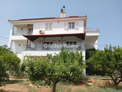Μονοκατοικία 300τ.μ. προς πώληση φωτογραφία 134