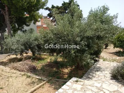 Μονοκατοικία 300τ.μ. προς πώληση φωτογραφία 135