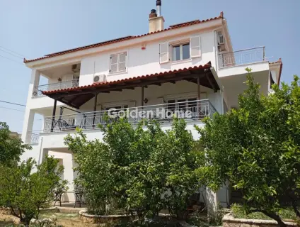 Μονοκατοικία 300τ.μ. προς πώληση φωτογραφία 136