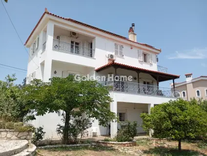 Golden Home Property Image