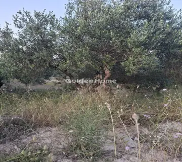 Professional Plot 5115m<sup>2</sup> for rent photo 4867685