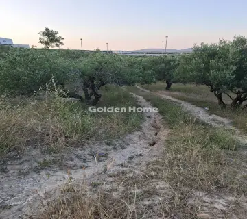 Professional Plot 5115m<sup>2</sup> for rent photo 4867687