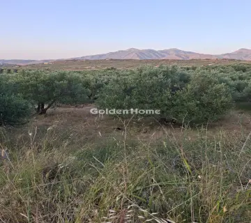 Professional Plot 5115m<sup>2</sup> for rent photo 4867688