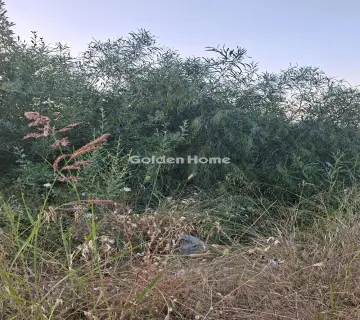 Professional Plot 5115m<sup>2</sup> for rent photo 4867689