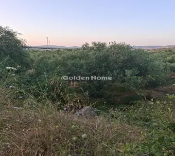 Professional Plot 5115m<sup>2</sup> for rent photo 4867693