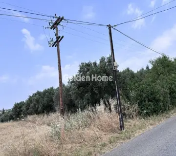 土地 4128m<sup>2</sup> for sale photo 2