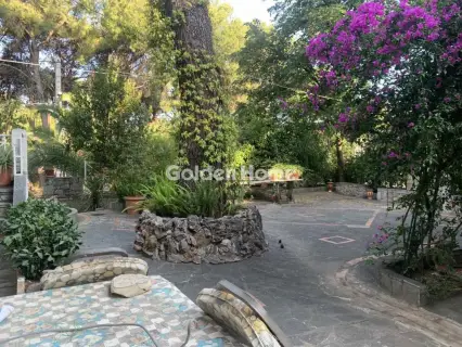 Floor Apartment 110m<sup>2</sup> for rent photo 29