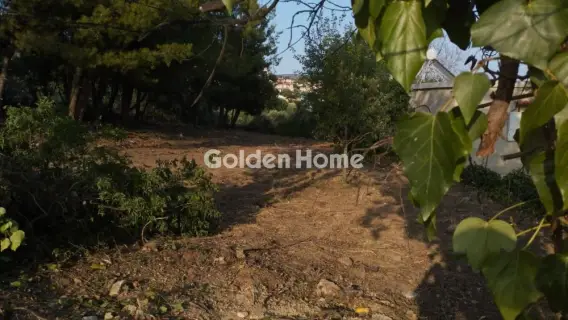 Οικιστικό 1592τ.μ. προς πώληση φωτογραφία 4