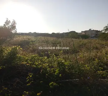 住宅 4000m<sup>2</sup> for rent photo 4